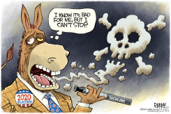 DEMOCRAT VAPING by Rick McKee