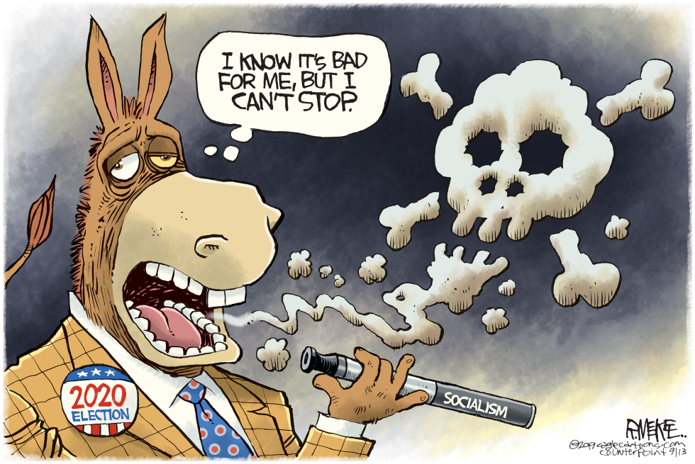  DEMOCRAT VAPING by Rick McKee