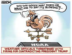 VAIN WEATHER by Steve Sack