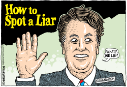 KAVANAUGH LIED by Wolverton