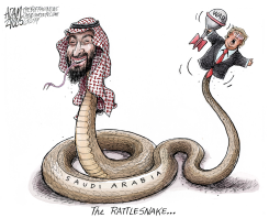 SAUDI ARABIA AND IRAN by Adam Zyglis