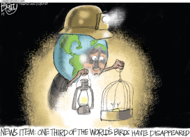 MISSING BIRDS by Pat Bagley