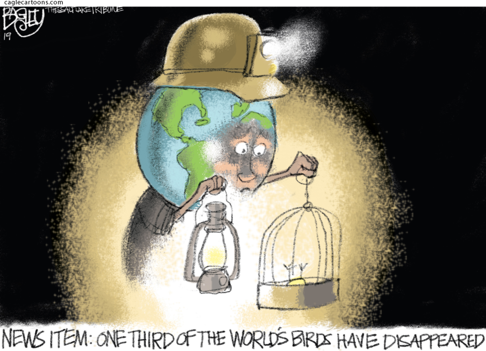  MISSING BIRDS by Pat Bagley