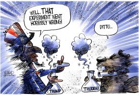 EXPERIMENT GONE WRONG by Dave Whamond