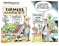 TRADE WAR AND ALTERNATIVE CROPS by Dave Granlund