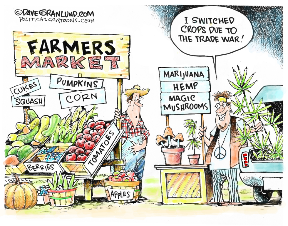  TRADE WAR AND ALTERNATIVE CROPS by Dave Granlund