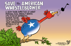 THE AMERICAN WHISTLEBLOWER by Bruce Plante