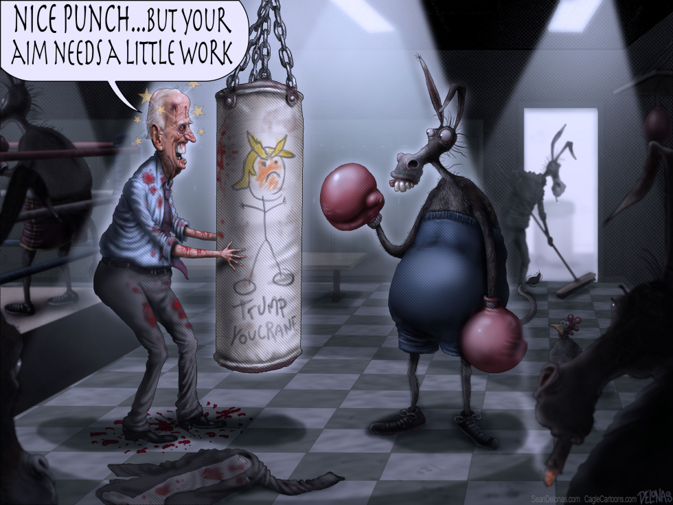  BIDEN BOXING by Sean Delonas