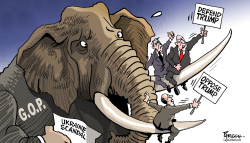 GOP DILEMMA by Paresh Nath