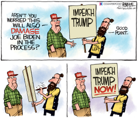 TRUMP BIDEN IMPEACH by Rick McKee