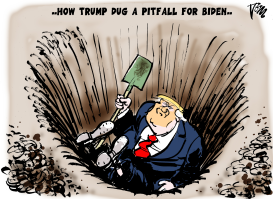 TRUMP'S PITFALL by Tom Janssen