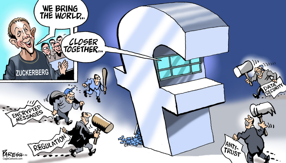  FACEBOOK IN CRISIS by Paresh Nath