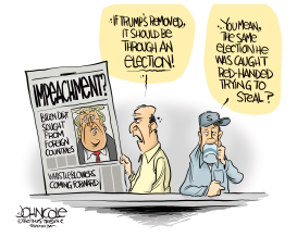 IMPEACHMENT OR ELECTION by John Cole