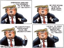 TRUMP WISDOM by Kevin Siers