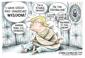 TRUMP UNMATCHED WISDOM by Dave Granlund