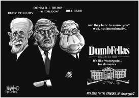 DUMB FELLAS WATERGATE THE SEQUEL by Dave Whamond