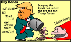 TRUMP DUMPS KURDS by Yaakov Kirschen