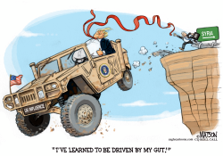 PRESIDENT TRUMP DRIVEN BY HIS GUT by RJ Matson