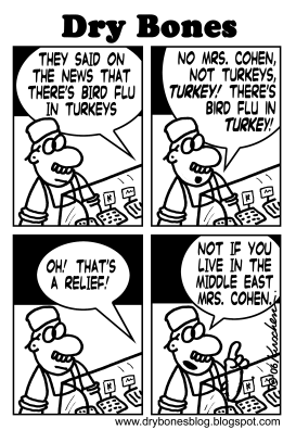 BIRD FLU IN TURKEY by Yaakov Kirschen