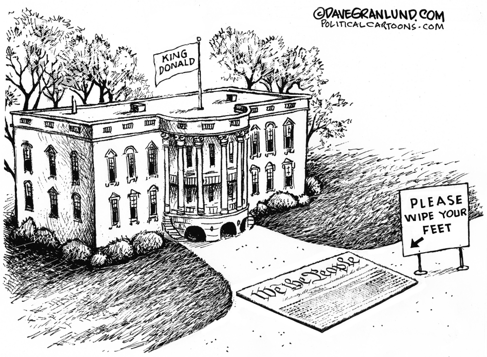  TRMP AND US CONSTITUTION by Dave Granlund