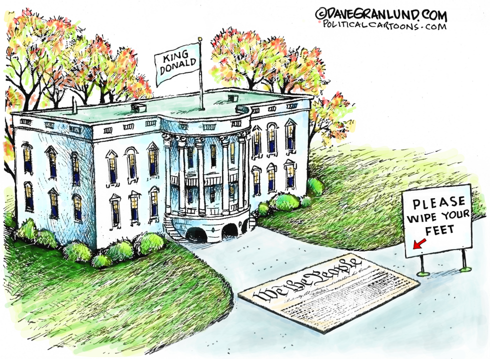  TRUMP AND US CONSTITUTION by Dave Granlund