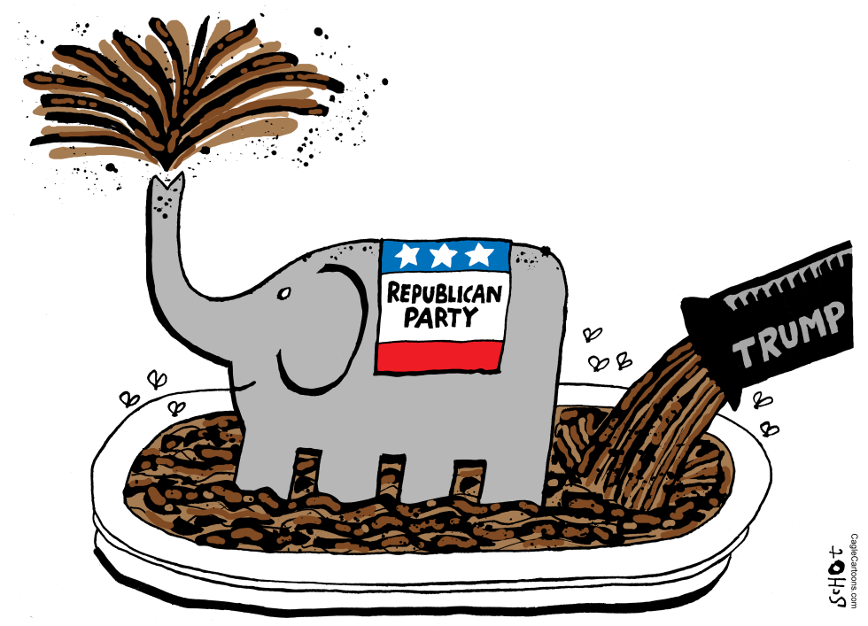  REPUBLICANS FOR TRUMP by Schot