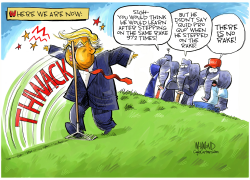 TRUMP VS THE RAKE by Dave Whamond