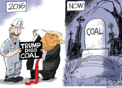 TRUMP DIGS COAL by Pat Bagley