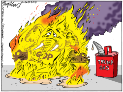 SELF IMMOLATION by Bob Englehart