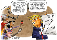 TRUMP'S SHARPIE POLLS by Dave Whamond