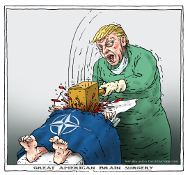 GREAT AMERICAN BRAIN SURGERY by Joep Bertrams