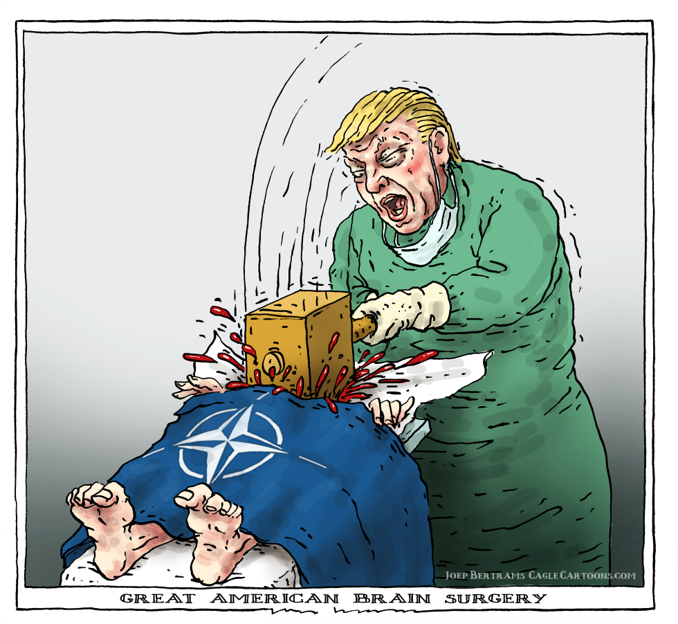  GREAT AMERICAN BRAIN SURGERY by Joep Bertrams