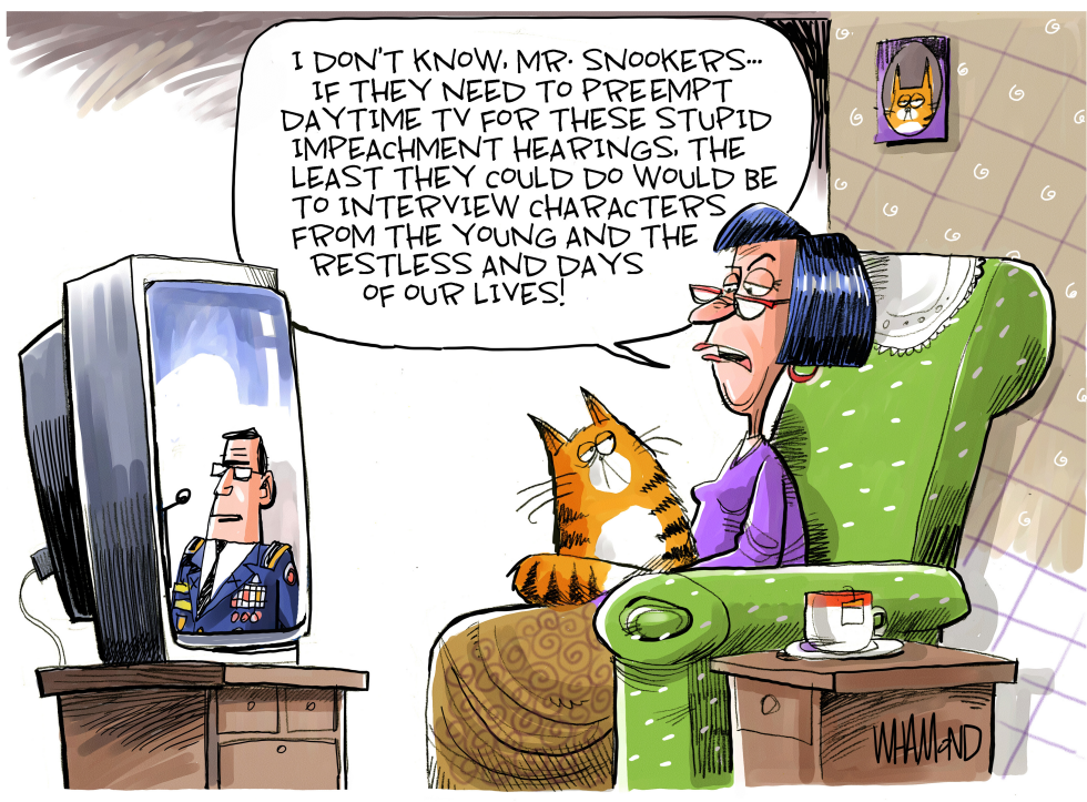  DAYTIME TV by Dave Whamond