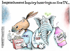 IMPEACHMENT HEARINGS ON TV by Dave Granlund