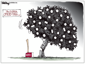 FLORIDA OPIOID TREE by Bill Day