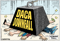 DACA DOWNFALL by Wolverton