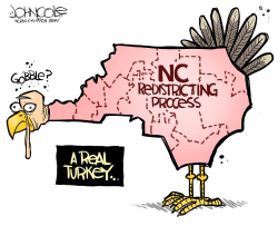 LOCAL NC REDISTRICTING TURKEY by John Cole