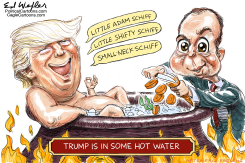 TRUMP HOT WATER by Ed Wexler