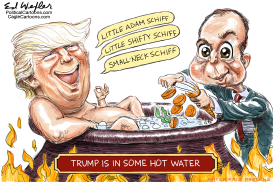 TRUMP HOT WATER by Ed Wexler