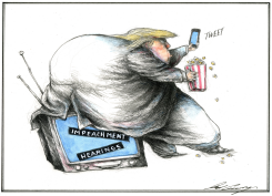 TRUMP WATCHES IMPEACHMENT HEARINGS by Dale Cummings