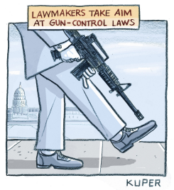 GUN LAWS by Peter Kuper