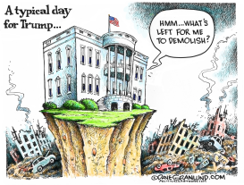 TRUMP DAILY DEMOLITION by Dave Granlund