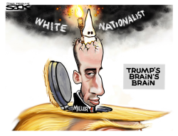 MILLER LIGHTED by Steve Sack