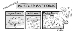 WHETHER PATTERNS by Peter Kuper