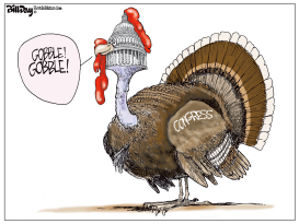 TURKEY CONGRESS by Bill Day