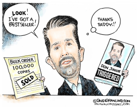 DON JUNIOR BOOK by Dave Granlund