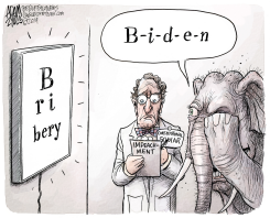 SEEING THE EVIDENCE by Adam Zyglis