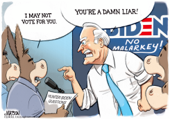 FIGHTING JOE BIDEN by R.J. Matson