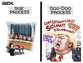 DONALD DOODOOTRYMP by Steve Sack