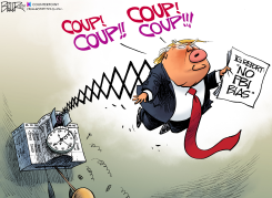 TRUMP COUP by Nate Beeler